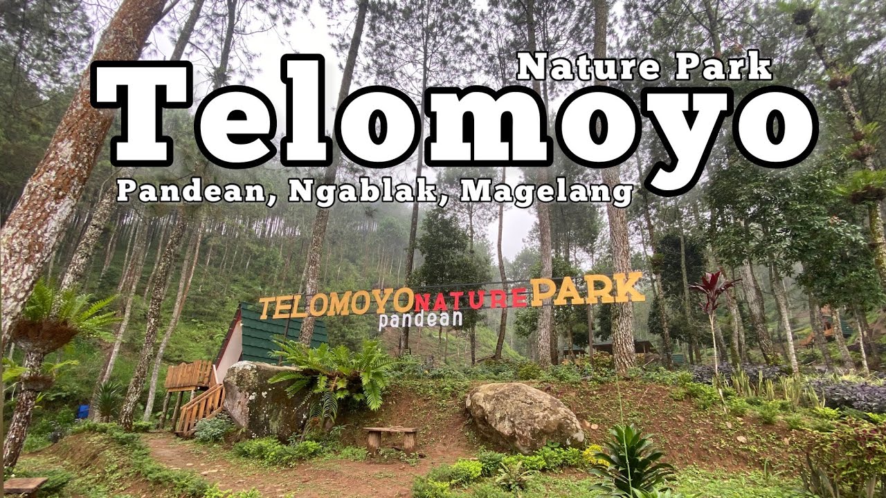 Telomoyo Nature Park: Pesona Alam Menakjubkan di Lereng Gunung Merapi